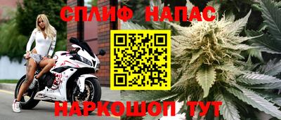 амф Будённовск