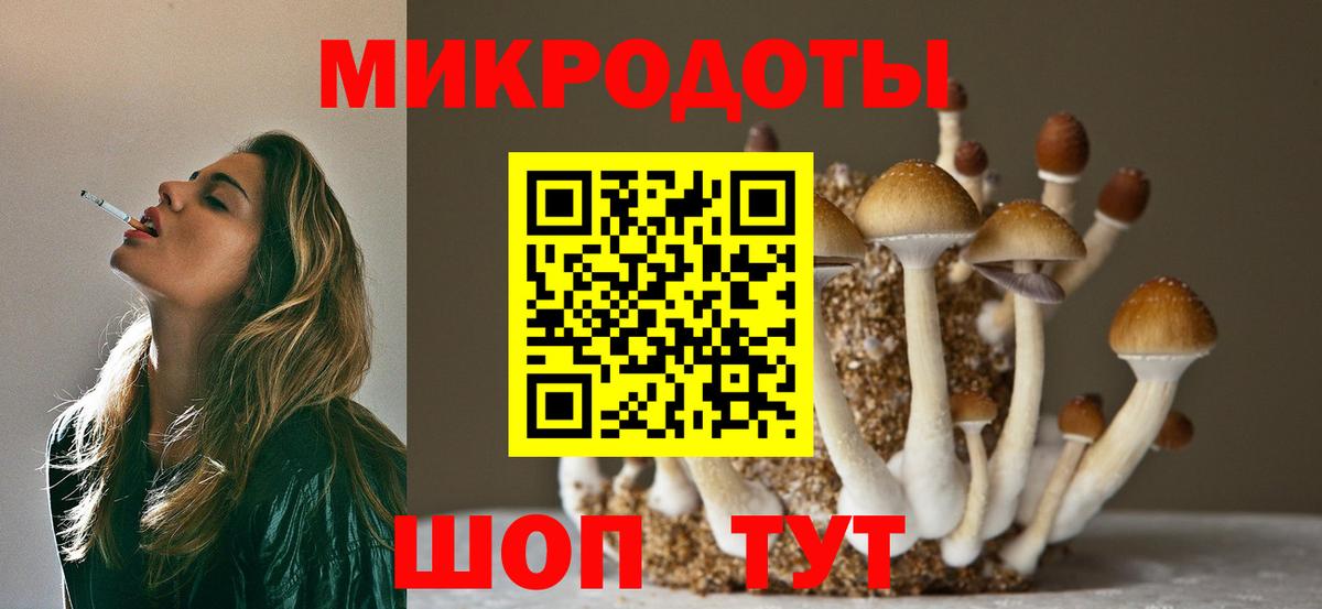 Псилоцибиновые грибы Psilocybe  Вход с VPN  Первоуральск 