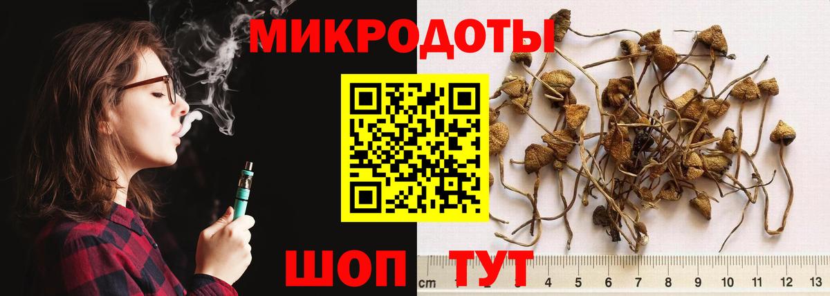 Галлюциногенные грибы Psilocybe Первоуральск